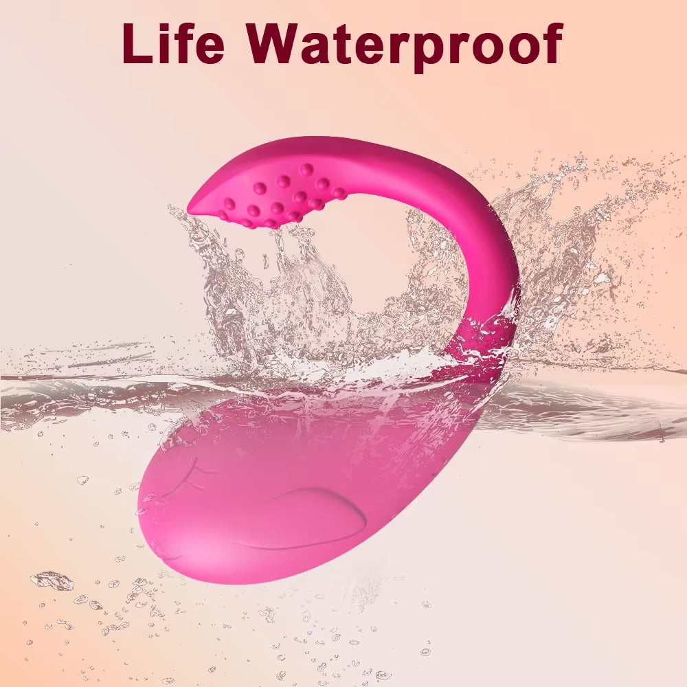 Wireless Control Vibrator Egg 