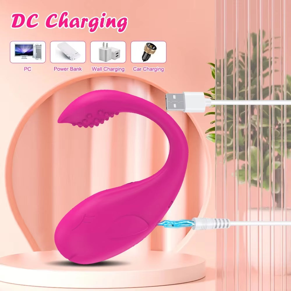 Wireless Control Vibrator Egg 